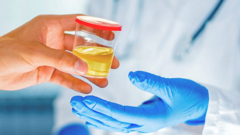 Buy The Best Quality Synthetic Urine